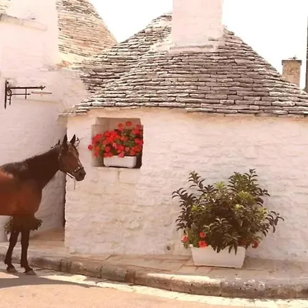 Trulli Dimore Storiche בית נופש אלברובלו